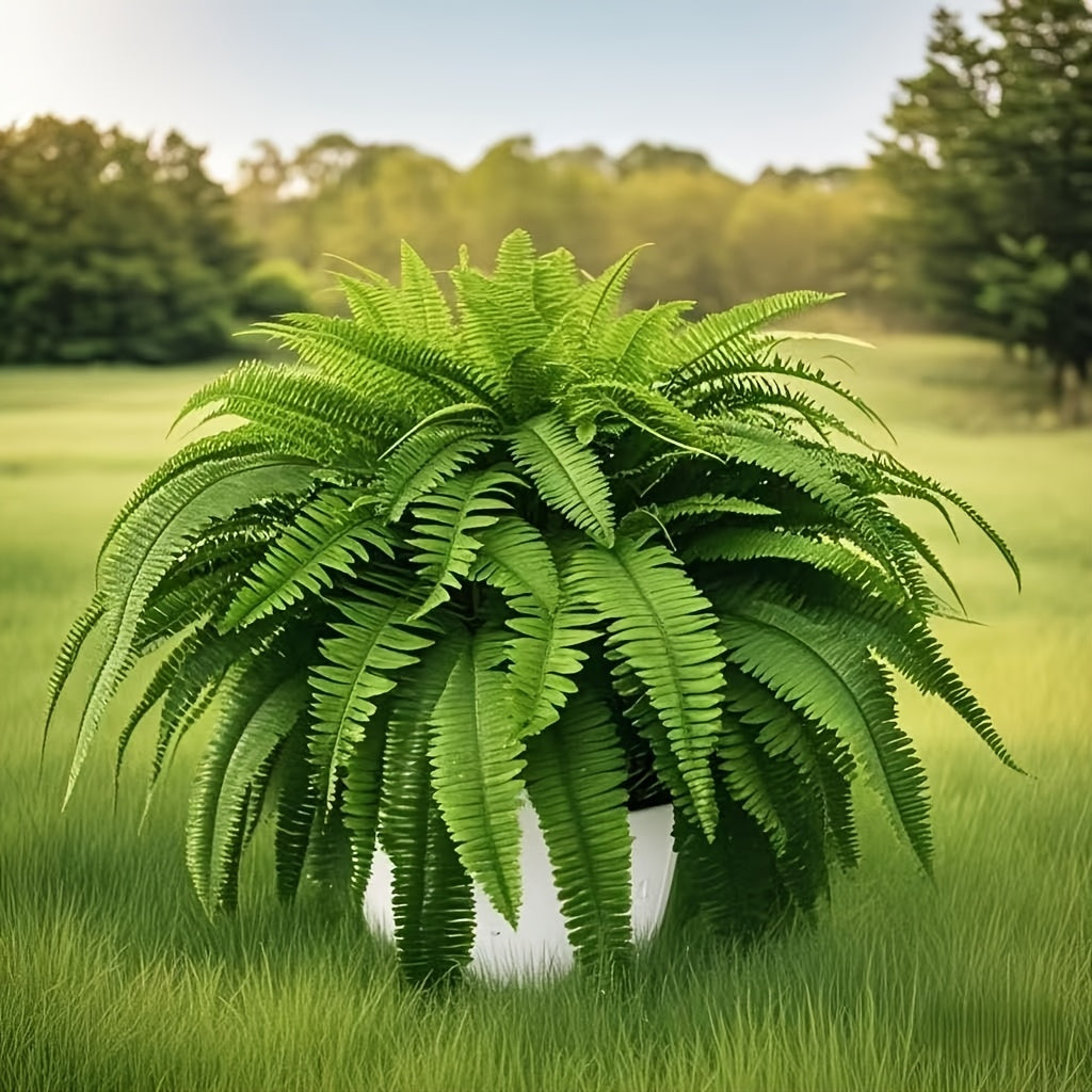 Set of Four Large Boston Fern Artificial Plants