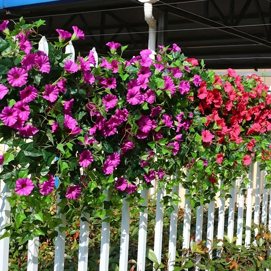 24pcs UV-Resistant Morning Glory Bouquet